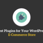 WordPress ecommerce plugin