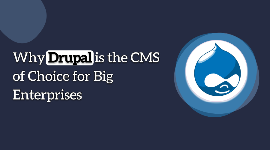 Why Large Businesses Prefer Drupal