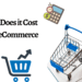 eCommerce Website Development Cost