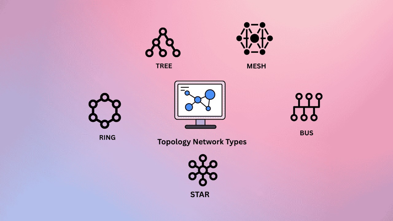 Complete Guide to Topology in Comp